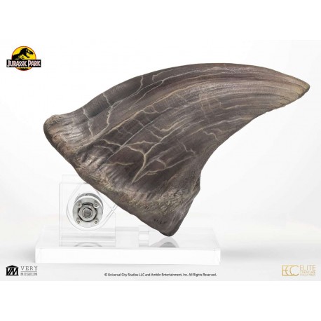 Jurassic park screen used t-rex foot claw reproduction  Solo Su Ordine Previo Contatto