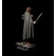 Lord of the Rings Life-Size Statue Frodo 152 cm Statui 1/1 a grandezza naturale
